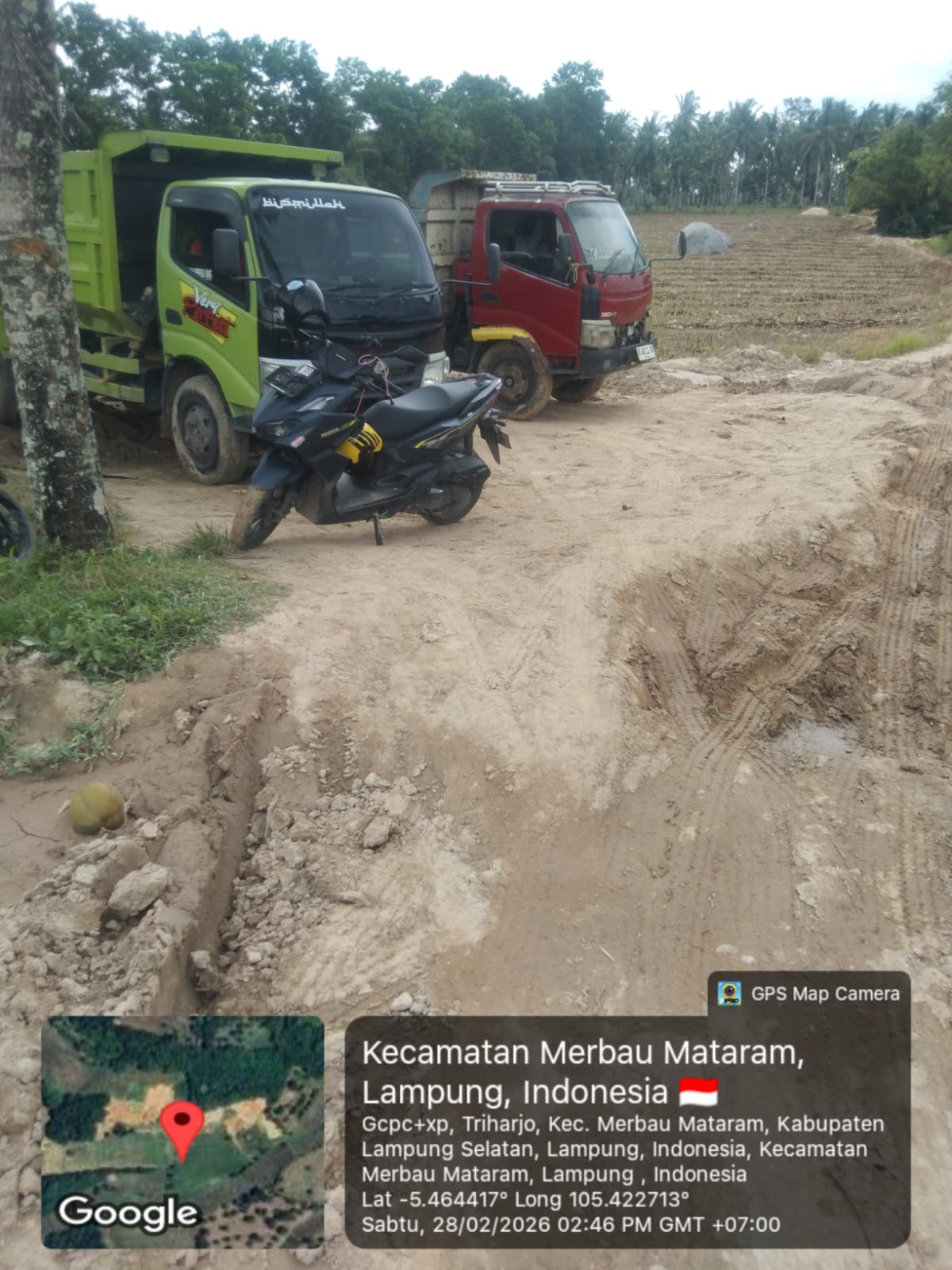 Diduga Kebal Hukum !! Tambang Pasir Ilegal Desa Triharjo, Kec. Merbau Mataram Lamsel Sudah Beroperasi Lama Di Atas Tanah Kawasan Tanpa Tersentuh APH Warga Minta Kapolda Lampung Tindak Tegas