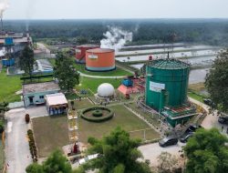 ROA PalmCo Tembus 7,9 Persen, Sinyal Penguatan Kinerja Aset Holding Perkebunan Nusantara